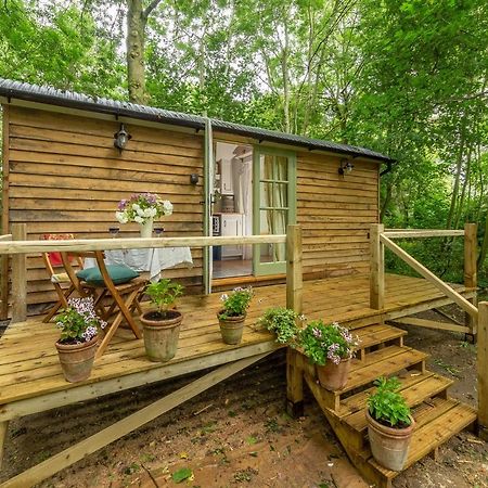 Woodland Retreat Shepherds Hut Villa Brundish Esterno foto