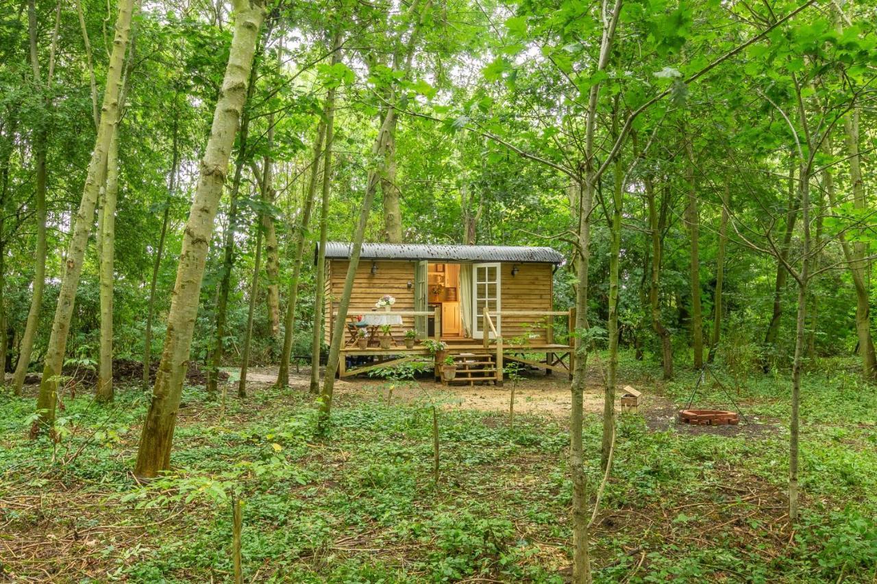 Woodland Retreat Shepherds Hut Villa Brundish Esterno foto